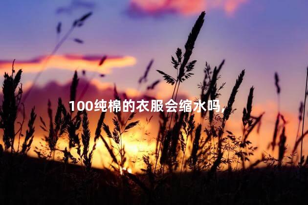 100%纯棉的衣服会缩水吗，100%纯棉的衣服会越穿越大吗