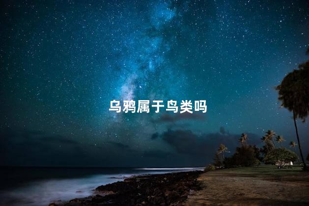 乌鸦属于鸟类吗