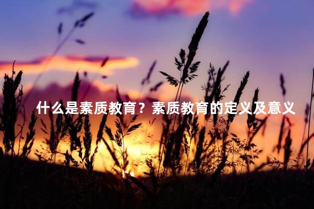 什么是素质教育？素质教育的定义及意义
