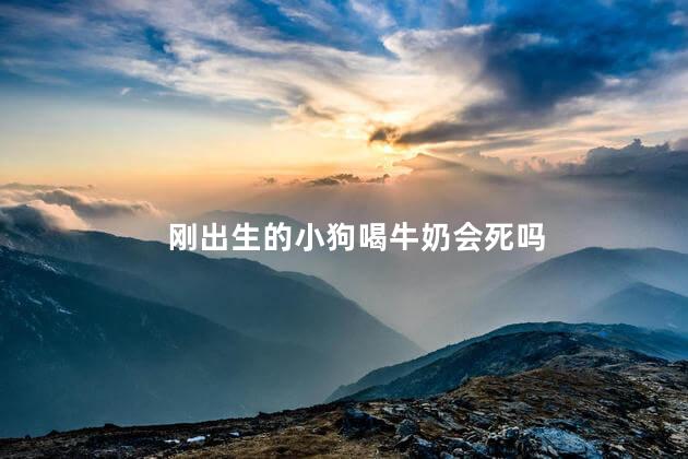 刚出生的小狗喝牛奶会死吗