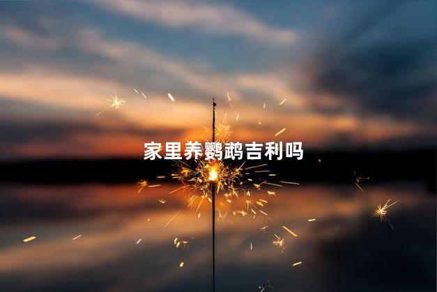 家里养鹦鹉吉利吗