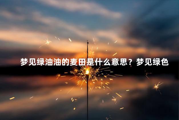 梦见绿油油的麦田是什么意思？梦见绿色麦田的意义