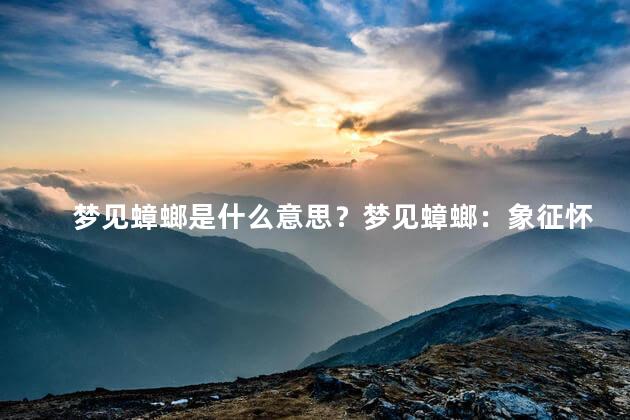 梦见蟑螂是什么意思？梦见蟑螂：象征怀疑与隐秘的意义