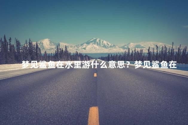 梦见鲨鱼在水里游什么意思？梦见鲨鱼在水中游泳的含义解析