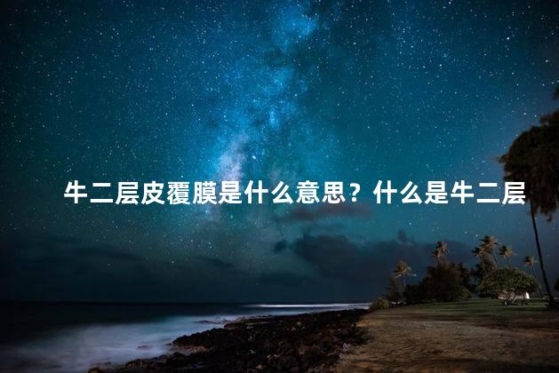 牛二层皮覆膜是什么意思？什么是牛二层皮覆膜