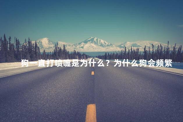 狗一直打喷嚏是为什么？为什么狗会频繁打喷嚏？