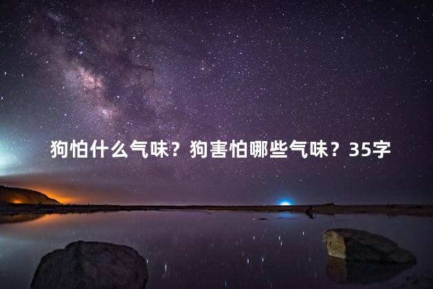 狗怕什么气味？狗害怕哪些气味？35字以内
