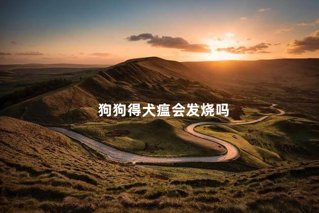 狗狗得犬瘟会发烧吗