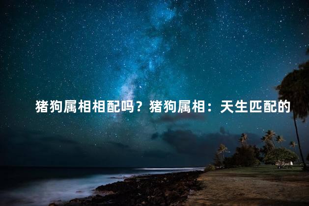 猪狗属相相配吗？猪狗属相：天生匹配的组合