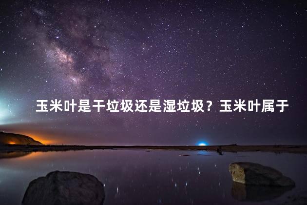 玉米叶是干垃圾还是湿垃圾？玉米叶属于干垃圾还是湿垃圾？新疑问等待解答！