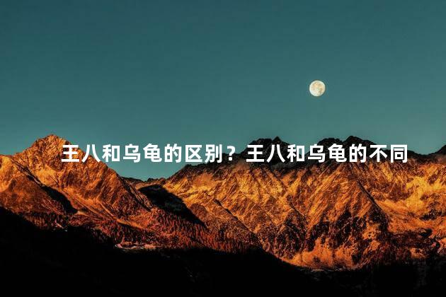 王八和乌龟的区别？王八和乌龟的不同