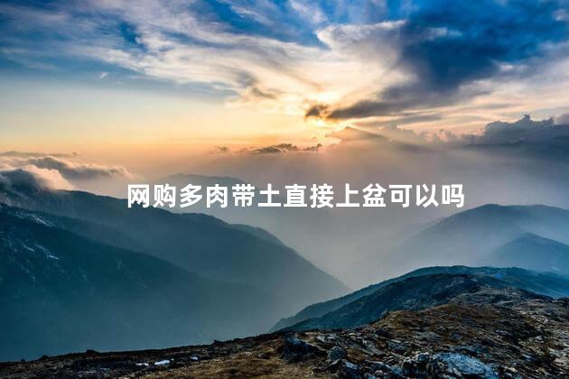 网购多肉带土直接上盆可以吗